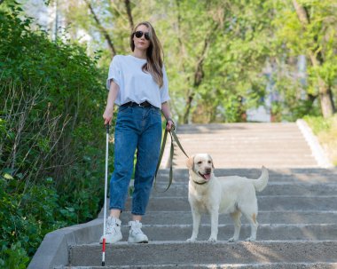 Genç kör bir kadın, parktaki merdivenlerden elinde değnek ve rehber köpekle iniyor.