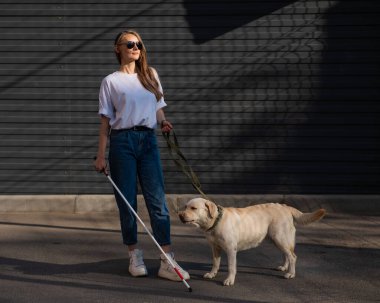 Dışarıda gezen kör kadın rehber köpek.