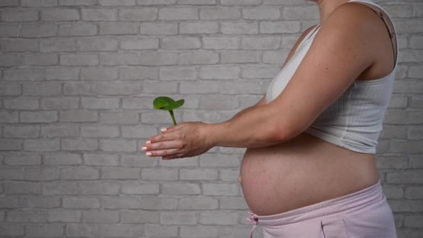 Seitenansicht Einer Schwangeren Frau Die Einen Spross Nach Vorne Streckt — Stockvideo