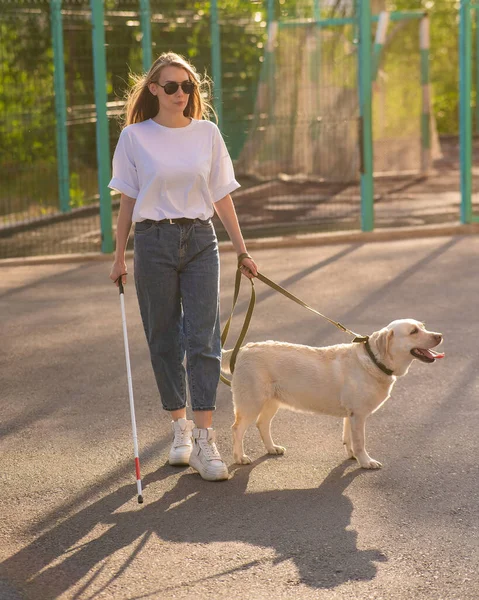 Blind woman walking with guide dog