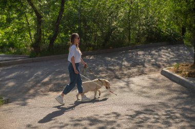 Kör kadın parkta rehber köpekle yürüyor.