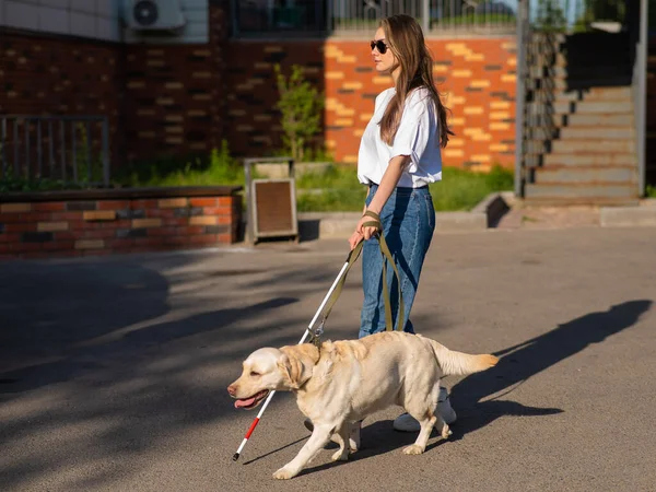 Blind Kvinna Promenader Med Ledarhund — Stockfoto