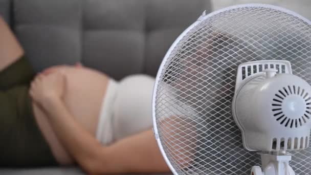 Ciężarna Kobieta Leży Kanapie Głaskając Brzuchu Ciesząc Się Chłodnym Powietrzem — Wideo stockowe