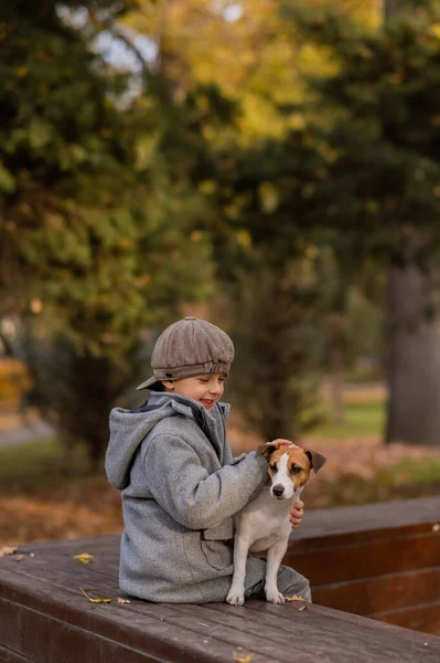 Kaukasische Jongen Zit Een Bankje Met Een Hond Jack Russell — Stockfoto