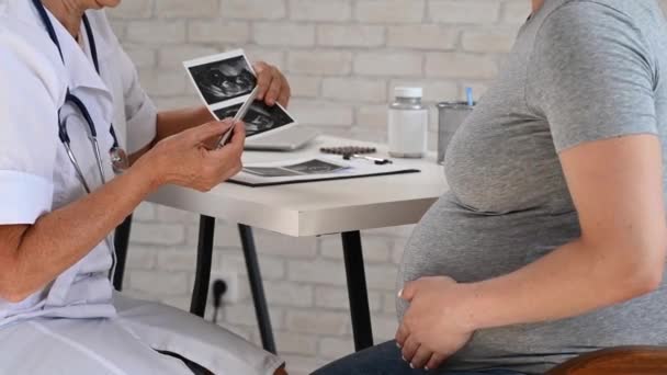 Obstetrikergynekolog Som Förklarar Screeningbilden För Gravid Kvinna — Stockvideo