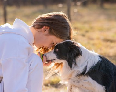 Sonbahar parkında sınır köpeğini kucaklayan beyaz bir kadın. Köpekli bir kızın portresi.