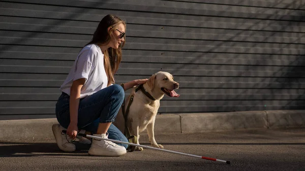 一个失明的女人在街上遛狗 女孩抱着拉布拉多人 — 图库照片