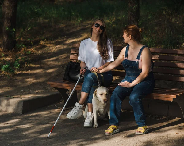 盲導犬と妊娠中の友人とベンチに座っている盲目の白人女性 — ストック写真