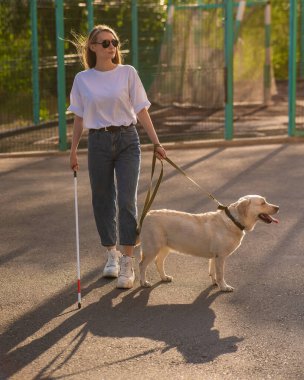 Kör kadın ile rehber köpek yürüyüş 