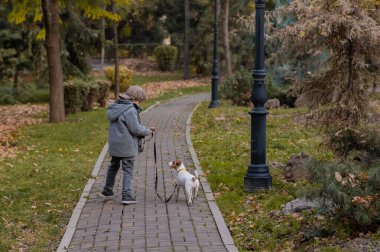 Çocuk parkta köpek Jack Russell Terrier ile koşuyor. Sonbahar Yürüyüşü