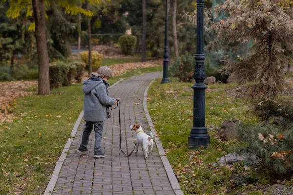 Chico Corre Con Perro Jack Russell Terrier Parque Caminata Otoño —  Fotos de Stock