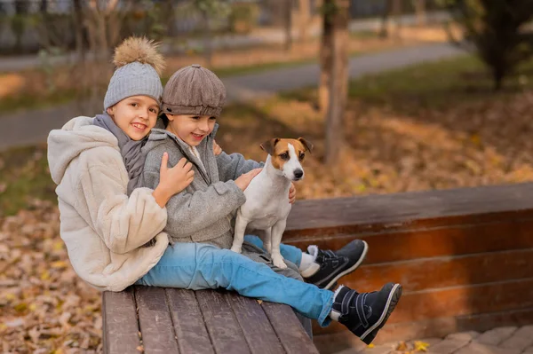 Erkek ve kız kardeş, sonbahar parkında yürüyüş yapmak için bir bankta bir köpekle kucaklaşırlar. Oğlan, kız ve Jack Russell Terrier