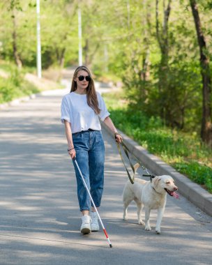 Kör kadın parkta rehber köpekle yürüyor.