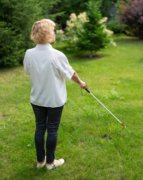 Rear view of an elderly blind woman walking in the park with a tactile cane
