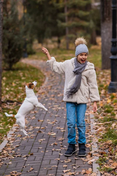 白人の女の子は秋の公園で散歩のために犬と遊ぶ — ストック写真