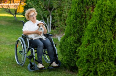 Elderly caucasian woman hugging a jack russell terrier dog while sitting in a wheelchair on a walk outdoors
