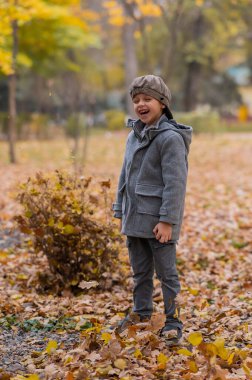 Gri paltolu ve bereli, sonbahar ormanında beyaz bir çocuk. Sonbahar Yürüyüşü