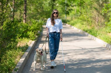 Kör kadın parkta rehber köpekle yürüyor.