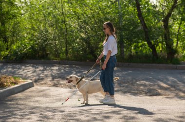 Kör kadın parkta rehber köpekle yürüyor.