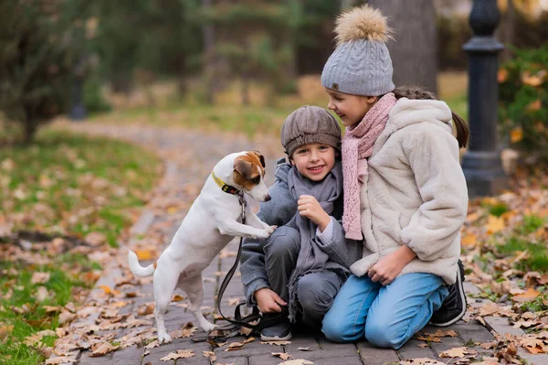 白人男の子と女の子座っ歩道にジャックRussellテリア犬で公園で秋 — ストック写真