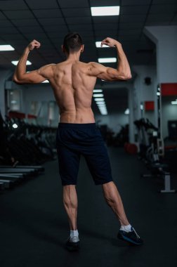 Back view of shirtless man with sculpted body in gym