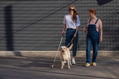 Kör beyaz kadın rehber köpek ve hamile kız arkadaşıyla yürüyor.