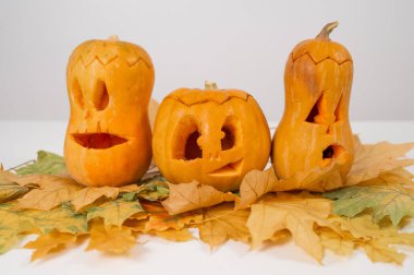 Akçaağaç yaprakları üzerinde bir grup balkabağı-fener. Beyaz arka planda Cadılar Bayramı dekorasyonu