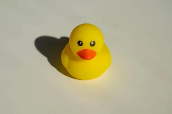 Rubber Little Duckling Bath White Background — Stock Photo, Image