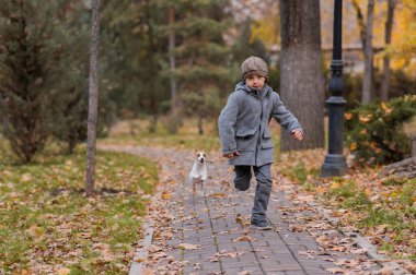 Çocuk parkta köpek Jack Russell Terrier ile koşuyor. Sonbahar Yürüyüşü