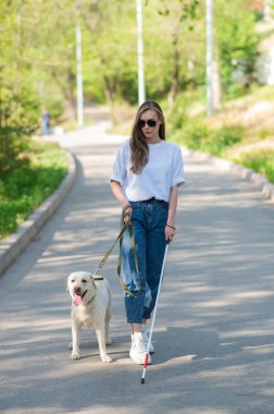 Kör kadın parkta rehber köpekle yürüyor.