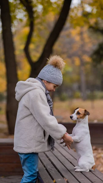秋の公園を散歩するために犬を飼っている白人の少女 ジャック ラッセル テリアはベンチに立ち — ストック写真