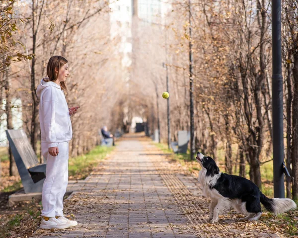 Sonbaharda parkta köpekle yürüyen beyaz bir kadın. Border Collie çok yükseğe sıçrar.