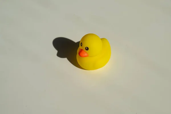 Rubber Little Duckling Bath White Background — Stock Photo, Image