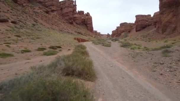Ovanifrån Från Drönare Charyn Canyon Kazakstan — Stockvideo