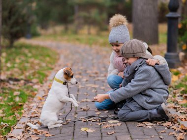 Beyaz çocuk ve kız, sonbaharda parkta Jack Russell Terrier köpeğiyle birlikte kaldırımda poz veriyorlar.