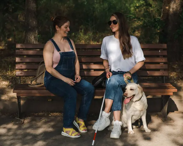 盲導犬と妊娠中の友人とベンチに座っている盲目の白人女性 — ストック写真