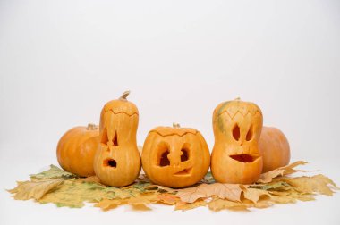 Akçaağaç yaprakları üzerinde bir grup balkabağı-fener. Beyaz arka planda Cadılar Bayramı dekorasyonu