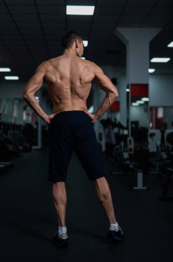Back view of shirtless man with sculpted body in gym