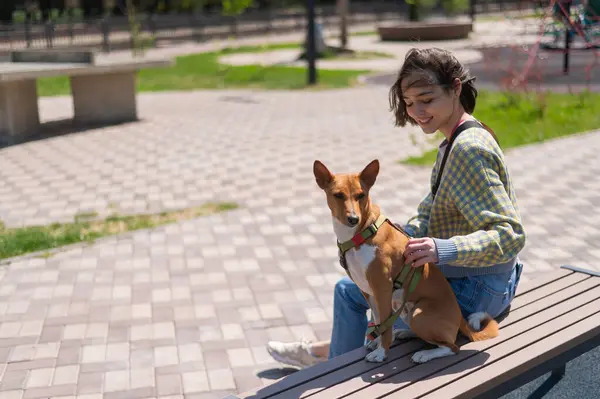 Young beautiful woman hugging a dog while sitting on a bench outdoors. Non-barking African basenji dog