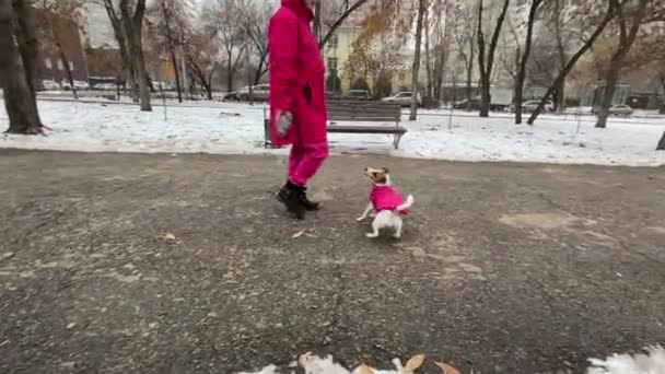Femme Caucasienne Jouer Avec Chien Jack Russell Terrier Plein Air — Video
