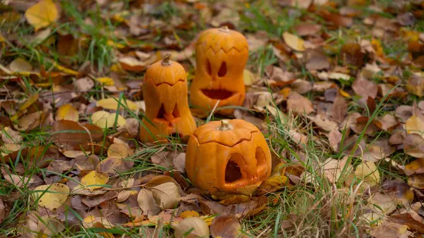 Three jack-o-lantern pumpkins on fallen leaves in a park. Halloween decorations