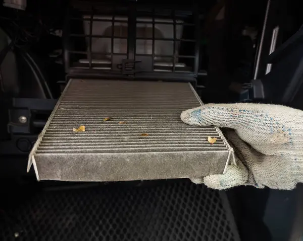 A mechanic changes the cabin air filter of a car