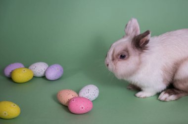 Renkli yumurtaları olan yeşil bir arka planda Paskalya Tavşanı