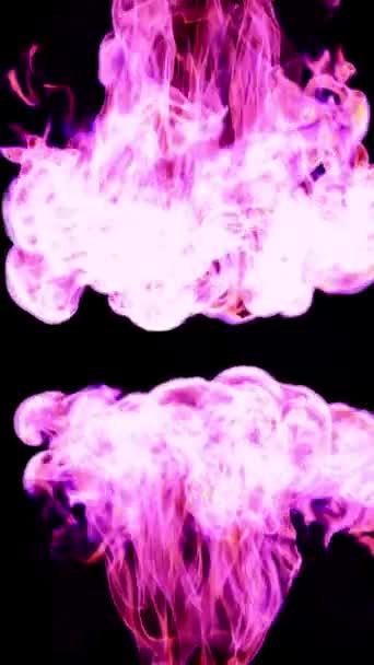 Мови Рожевого Полум Протилежних Сторін Зіштовхуються Центрі Чорному Тлі Ілюстрація — стокове відео