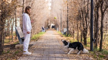 Sonbaharda parkta köpekle yürüyen beyaz bir kadın. Border Collie çok yükseğe sıçrar.