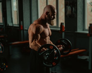 Beyaz, kel, üstsüz bir adam spor salonunda halterle egzersiz yapıyor. Ağırlıklarla bibik bukleler
