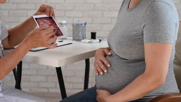 Verloskundige Gynaecoloog Legt Screeningfoto Uit Aan Een Zwangere Vrouw — Stockvideo