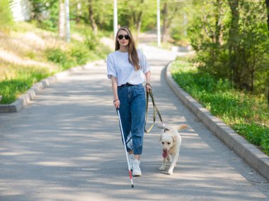 Kör kadın parkta rehber köpekle yürüyor.