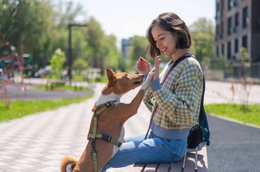 Genç ve güzel bir kadın açık havada bir köpekle bankta oturuyor. Havlamayan Afrika Basenji köpeği