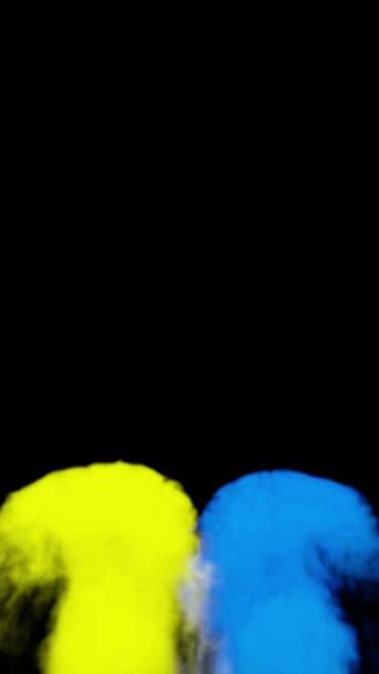 Blauer Und Gelber Rauch Auf Schwarzem Grund Ukrainische Flagge Illustration — Stockvideo